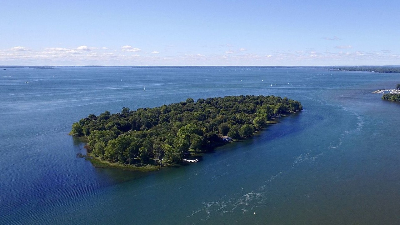 Dorval Island Extermination Dorval Island Extermination